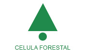 CELULA FORESTAL