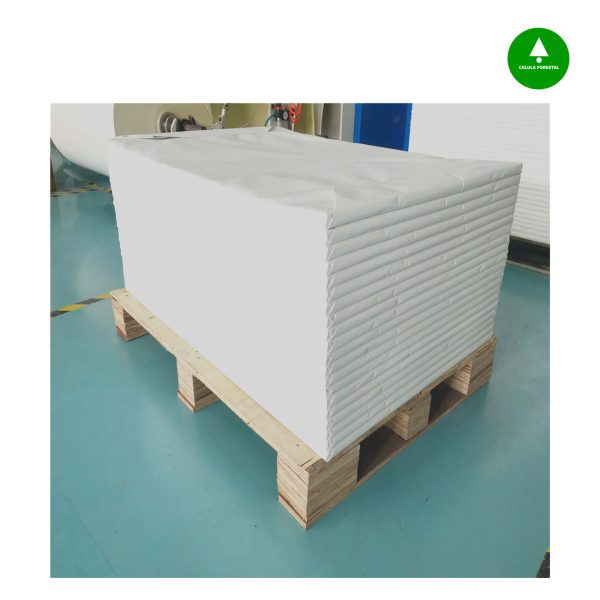 Servicio de conversión de papel de bobina a resmas
