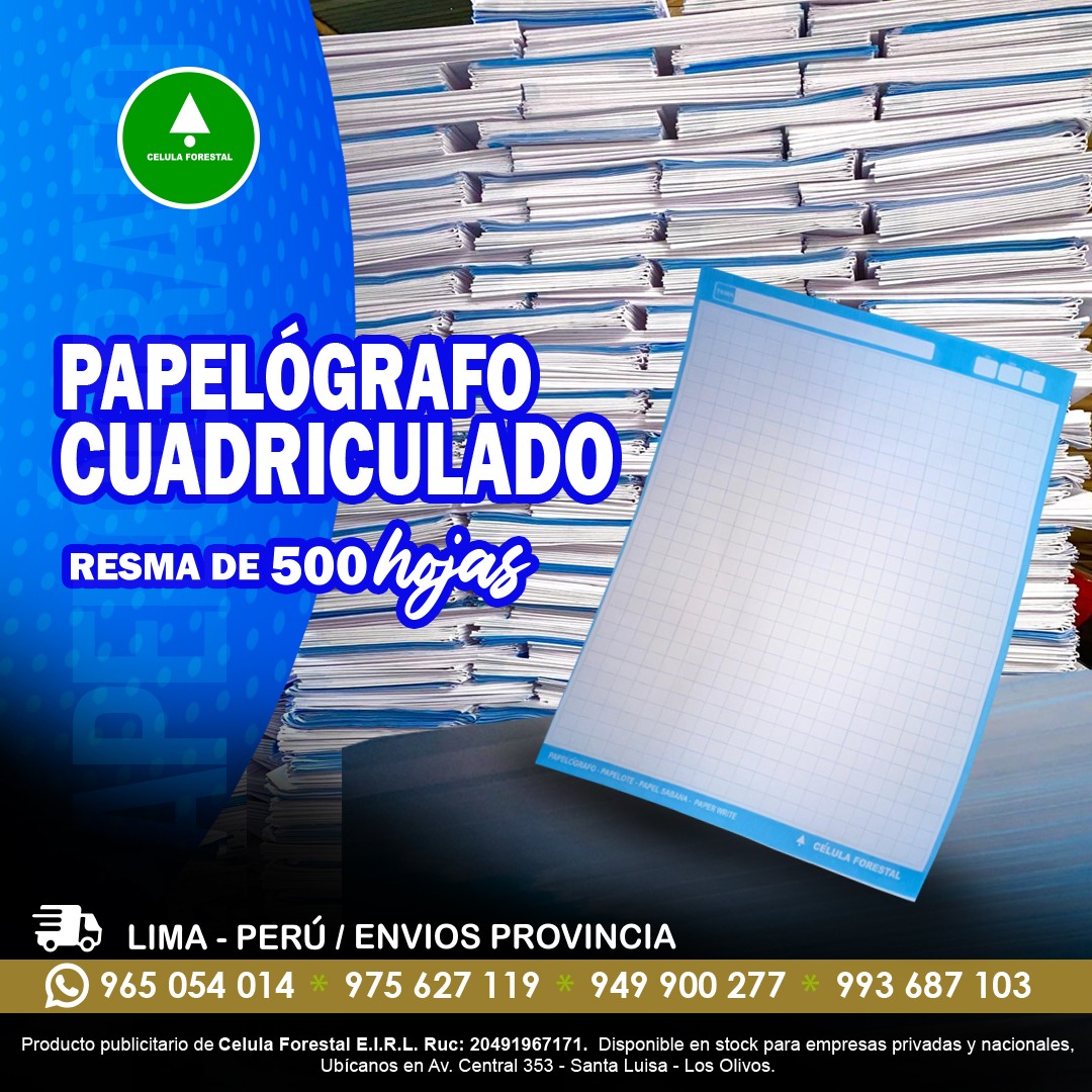 Papelografo cuadriculado 61x83cm