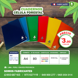 Cuadernos escolares grapados A4 colores solidos