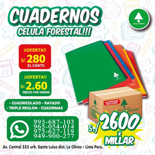 Cuadernos escolares grapados A4 80 hjs