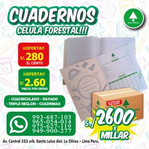Cuadernos escolares grapados A4 80 hjs
