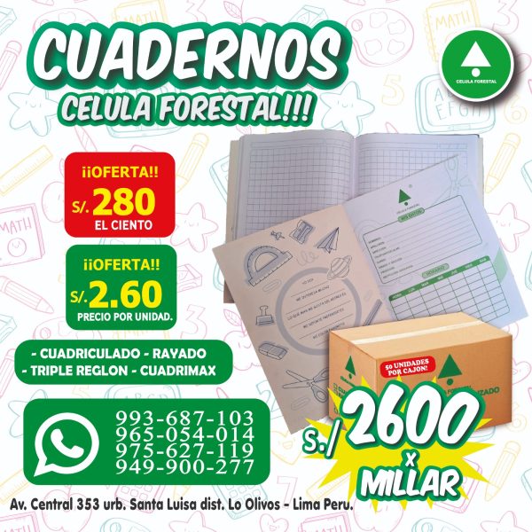 Cuadernos escolares grapados A4 80 hjs