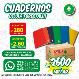 Cuadernos Grapados A4 - Cuadernos y Blocks - Escolar