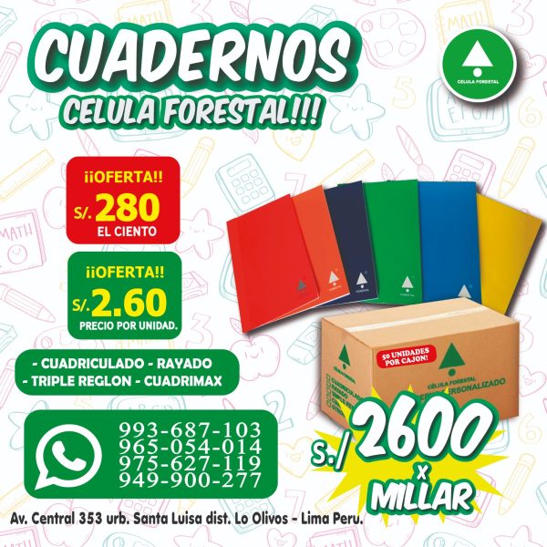 Cuadernos escolares grapados A4 80 hjs