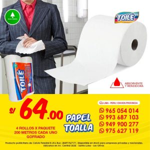 Papel toalla de 200 mts TOILE