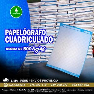 Papelografo escolar cuadriculado 61x83 cm