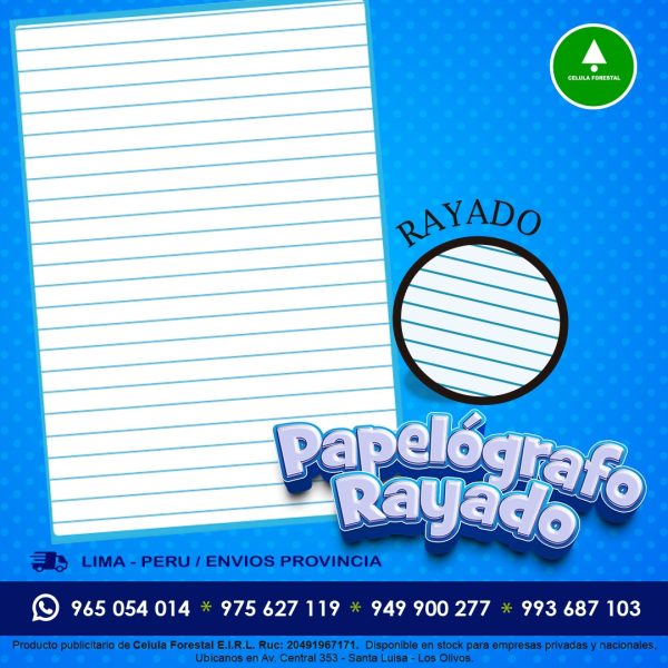 Papelografo escolar Rayado 61x83 cm