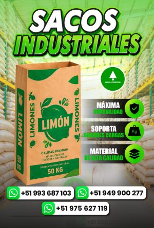 Sacos de papel kraft para limon Sacos de papel kraft para limón