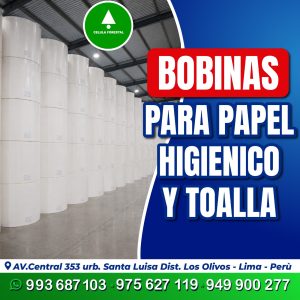 Papel Toalla Fibra Virgen | Bobinas para Conversores de Papel