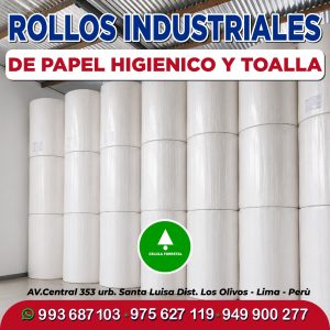 Rollos de papel Toalla Industrial