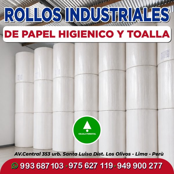 Rollos de papel Toalla Industrial